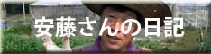 安藤さんの日記